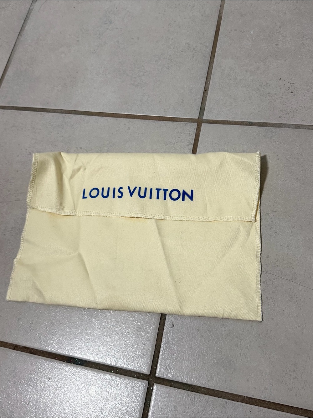 Louis Vuitton Dust Bag for Accessories